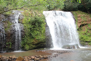 palmital-300x200 palmital