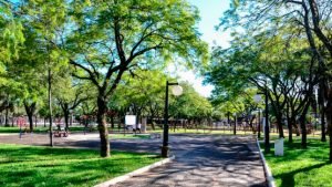 paranavai-300x169 paranavai