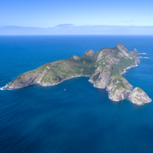 alcatraznot-300x300 alcatraznot