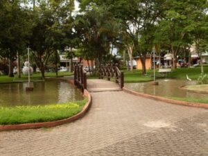 conceicao-de-macabu-300x225 conceicao-de-macabu