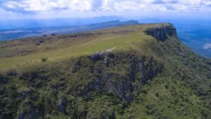 amajari-e1625515920671-300x170 amajari