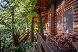 370785_914272_pousada_do_engenho_hospedagem_romantica_web_-300x200 370785_914272_pousada_do_engenho_hospedagem_romantica_web_