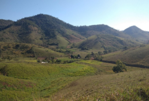 itaocara3-300x203 itaocara3