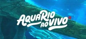 aquarionot-300x137 aquarionot