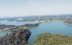 estorilsaobernardodocampo-300x187 estorilsaobernardodocampo