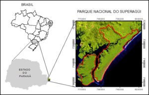 f9088d6a-7237-43c1-a185-edf8d592f7d4-300x192 f9088d6a-7237-43c1-a185-edf8d592f7d4