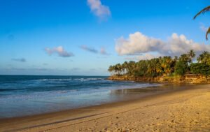 saogoncalodoamarante_ce-300x189 saogoncalodoamarante_ce