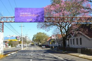 garibaldirs-300x200 garibaldirs