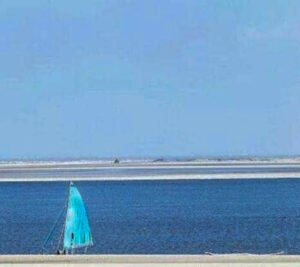 PSX_20220208_174326-300x267 PSX_20220208_174326