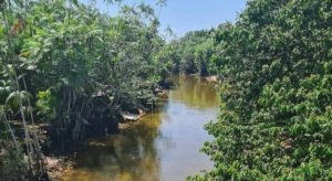 PSX_20220208_180828-300x164 PSX_20220208_180828