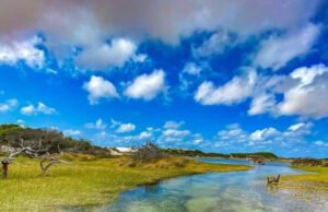 PSX_20220208_181603-300x194 PSX_20220208_181603