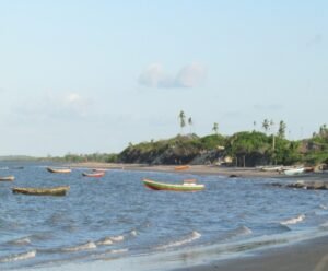 tutoiama-300x248 tutoiama