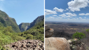 GeoparquesSeridoeCaminhosdosCaniosdoSul-300x170 GeoparquesSeridoeCaminhosdosCaniosdoSul