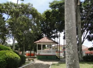 careacumg-300x218 careacumg