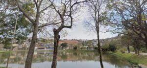 machado_mg-300x139 Machado MG