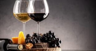 turismo enogastrônomico