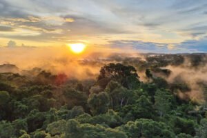 Sunrise-300x200 Sunrise