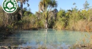 Foto: Divulgação / ICMBIO