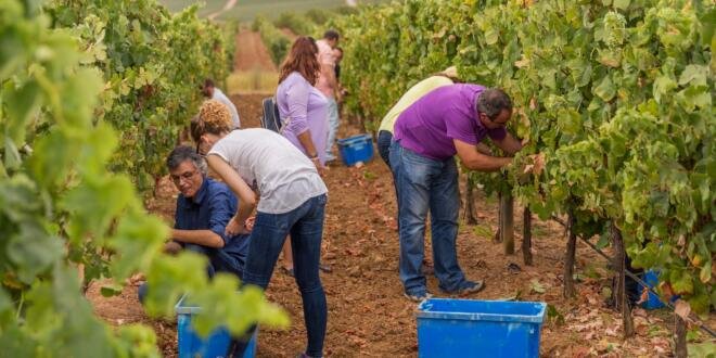 Crédito Victor Carvalho