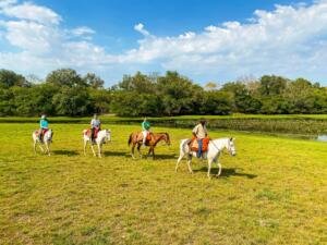 d334u-300x225 Divulgação Baia das Pedras