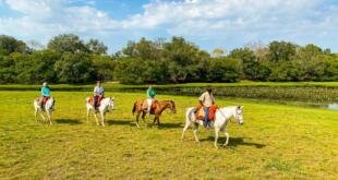 Divulgação Baia das Pedras