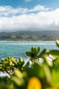 beautiful-hawaii-landscape-with-blue-sea-200x300 beautiful-hawaii-landscape-with-blue-sea