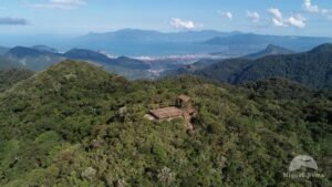 Abeta_Summit2025-300x169 Miguel Nema