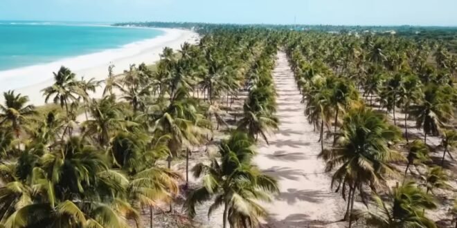 Imagem divulgação Turismo