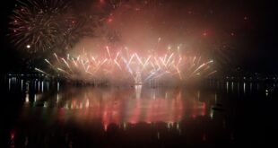 Arvore do Rio Crédito Kadeh Ferreira Marcelo Toscano