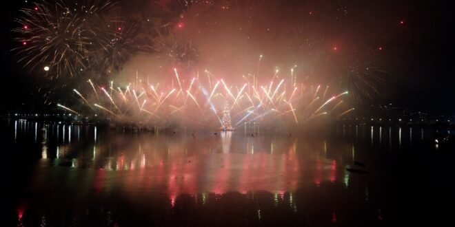 Arvore do Rio Crédito Kadeh Ferreira Marcelo Toscano