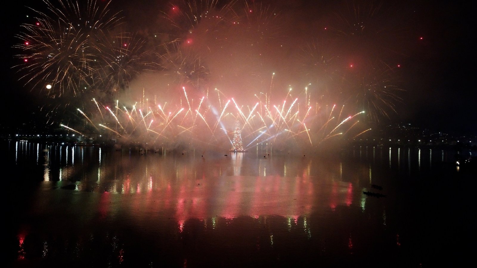 Arvore do Rio Crédito Kadeh Ferreira Marcelo Toscano
