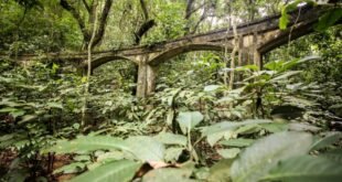 Foto: (Divulgação) - INEA