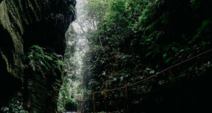 Foto: Divulgação / JhonathaConection - MTUR