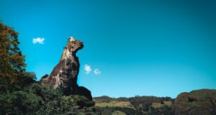 Foto: Divulgação / Pref. Municipal de Nova Friburgo