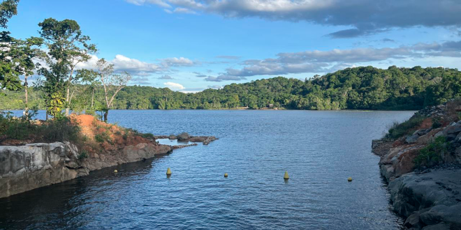 Foto: Divulgação/Ibama